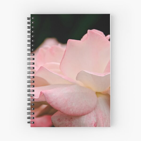 Item preview, Pristine - rose, my garden, Ottawa, Ontario designed and sold by Tracey  Dryka.