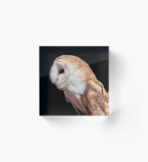 Chouette Profile Acrylic Block
