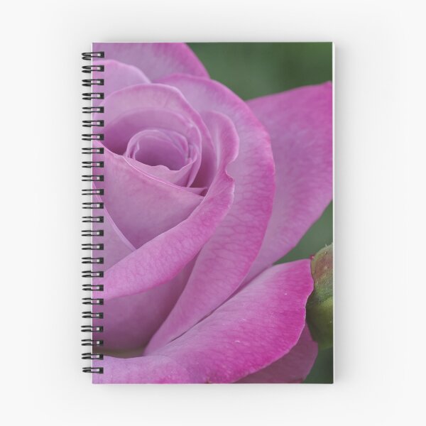 Item preview, Paradise - my garden, Ottawa, Ontario designed and sold by Tracey  Dryka.