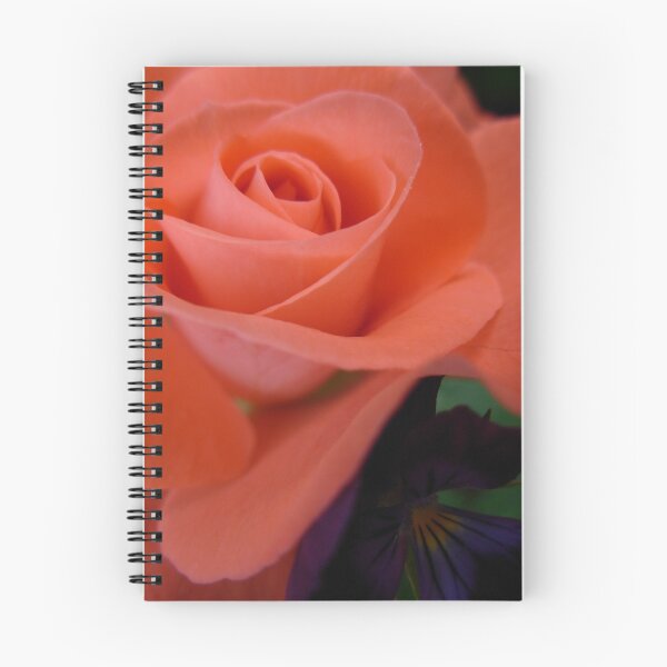 Item preview, Coral rose - my garden, Ottawa, ON designed and sold by Tracey  Dryka.