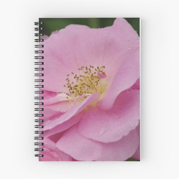 Item preview, Prairie Princess, Ottawa, Ontario designed and sold by Tracey  Dryka.