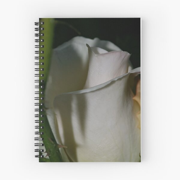 Item preview, Pristine - my garden, Ottawa, Ontario designed and sold by Tracey  Dryka.