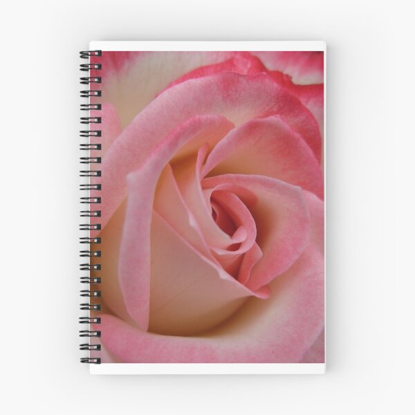 Item preview, Cherry Parfait - 2003 Grandiflora winner designed and sold by Tracey  Dryka.