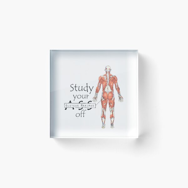 Item preview, Study your Gluteus Maximus Off  designed and sold by maryhop.