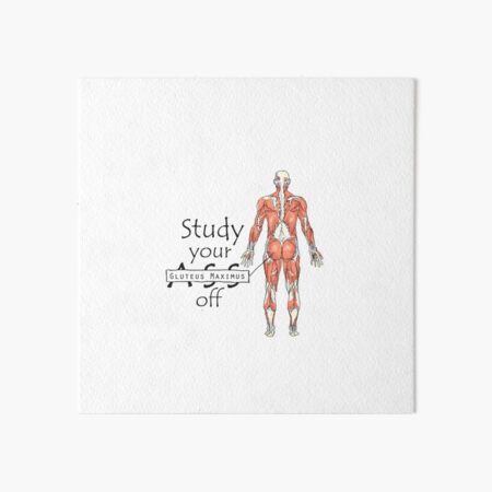 Study your Gluteus Maximus Off Art Board Print