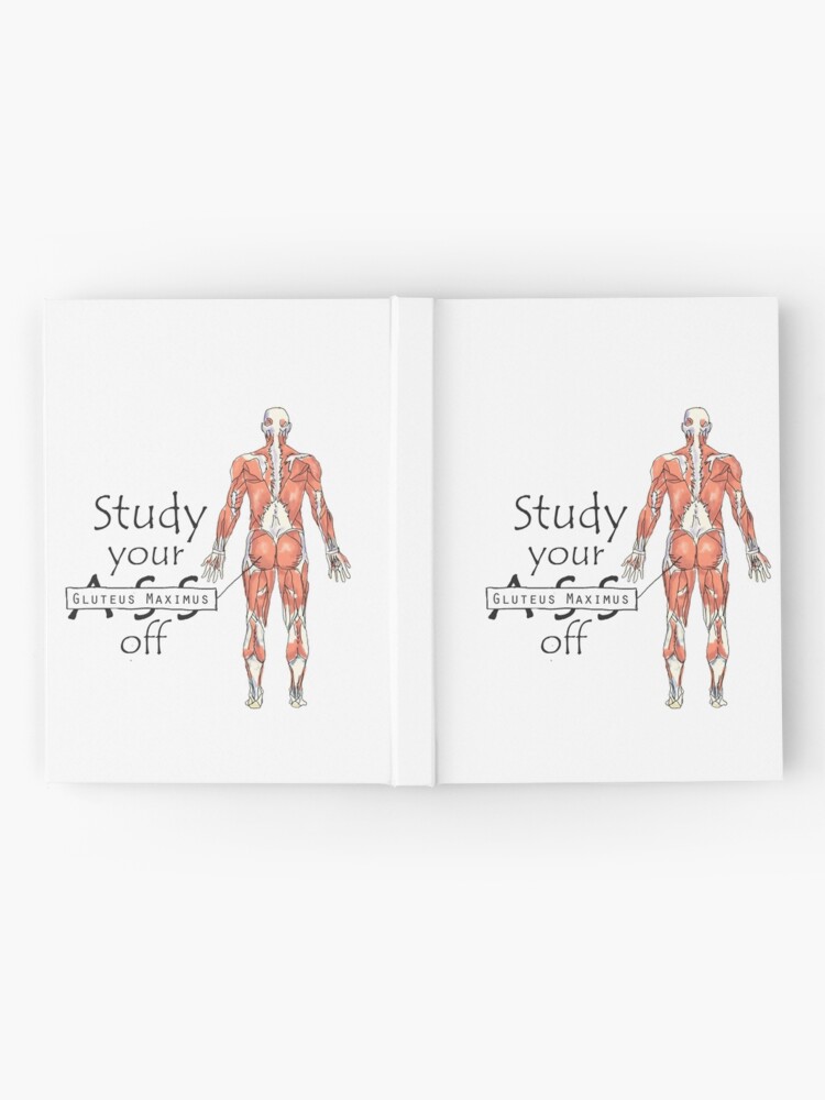 Alternate view of Study your Gluteus Maximus Off Hardcover Journal