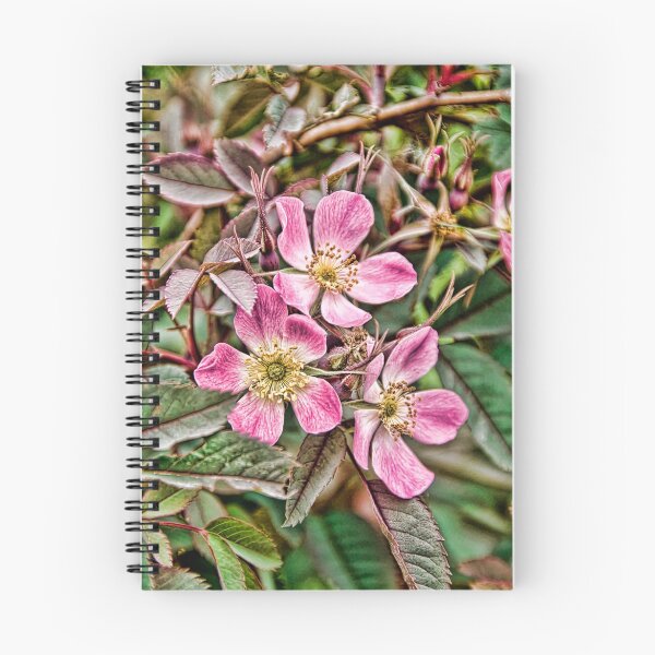 Item preview, misc rose - Experimental Farm, Ottawa, Ontario designed and sold by Tracey  Dryka.