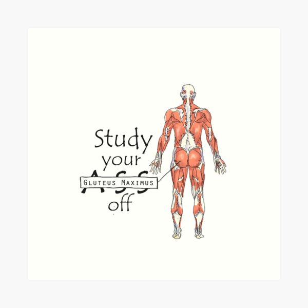 Study your Gluteus Maximus Off Art Print