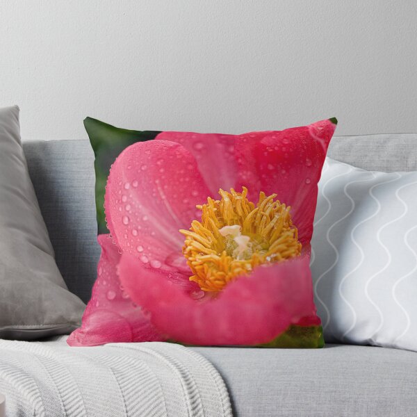 Item preview, Pink Peony - Central Experimental Farm, Ottawa designed and sold by Tracey  Dryka.
