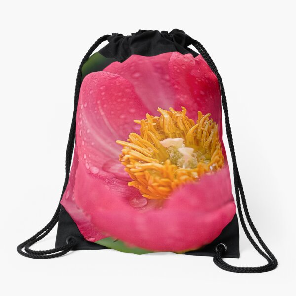 Item preview, Pink Peony - Central Experimental Farm, Ottawa designed and sold by Tracey  Dryka.