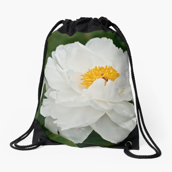 Item preview, Peony - Krinkled White, Ottawa, ON designed and sold by Tracey  Dryka.