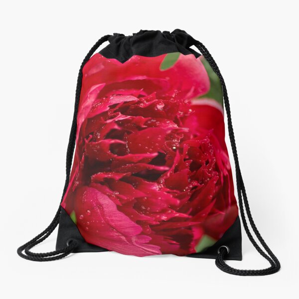 Item preview, Into the Red! designed and sold by Tracey  Dryka.