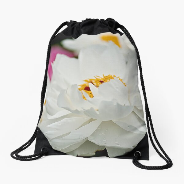 Item preview, Peony - Central Experimental Farm, Ottawa designed and sold by Tracey  Dryka.