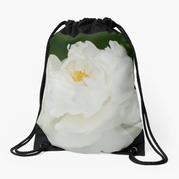 Item preview, Looking forward for Spring! designed and sold by Tracey  Dryka.