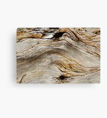 Western Isles Textures Canvas Print