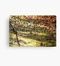 Western Isles Textures Canvas Print