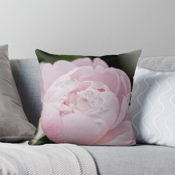 Item preview, Pink Peony - Experimental Farm, Ottawa, ON designed and sold by Tracey  Dryka.