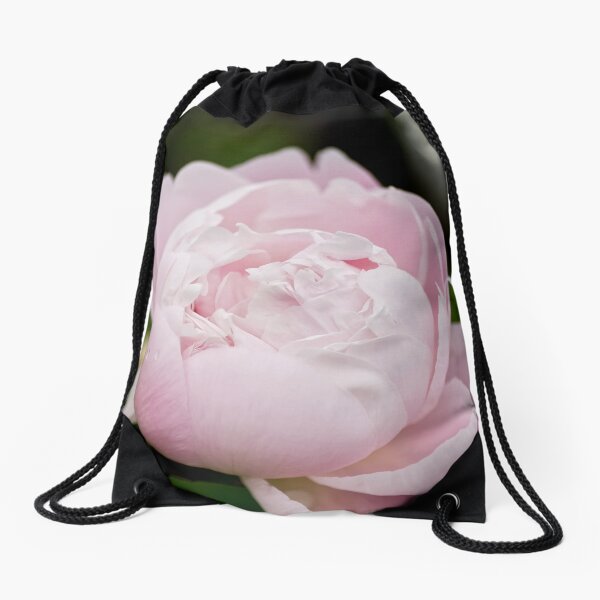 Item preview, Pink Peony - Experimental Farm, Ottawa, ON designed and sold by Tracey  Dryka.