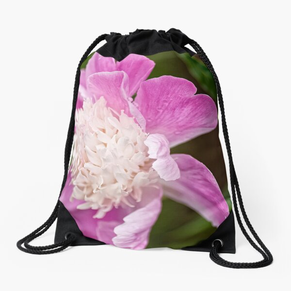 Item preview, Gay Paree - Peony designed and sold by Tracey  Dryka.