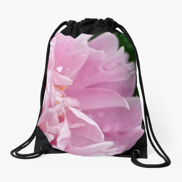 Item preview, Peony - Experitmantal farms, Ottawa, ON designed and sold by Tracey  Dryka.
