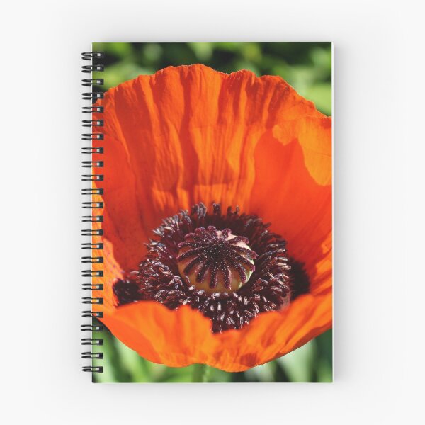 Item preview, Orange Poppy designed and sold by Gilda Axelrod.
