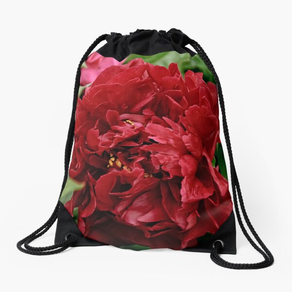 Item preview, Peony - Experimental Farm, Ottawa, Ontario designed and sold by Tracey  Dryka.
