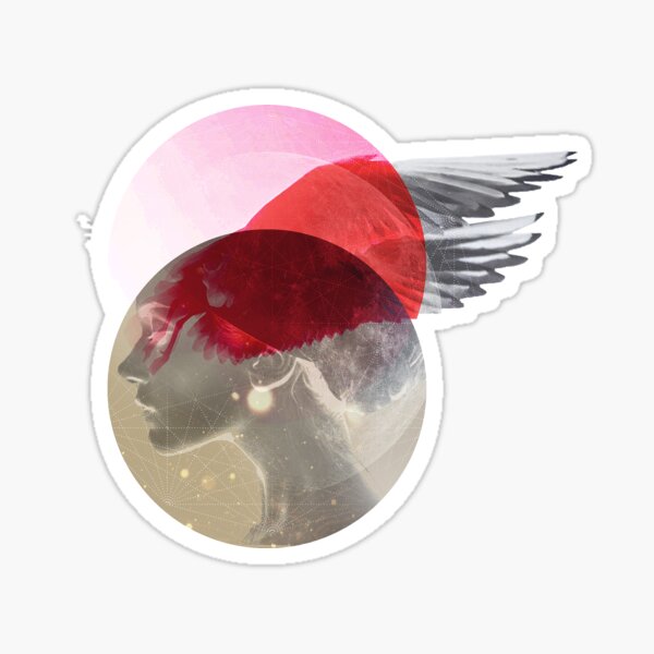 Space flight  Sticker