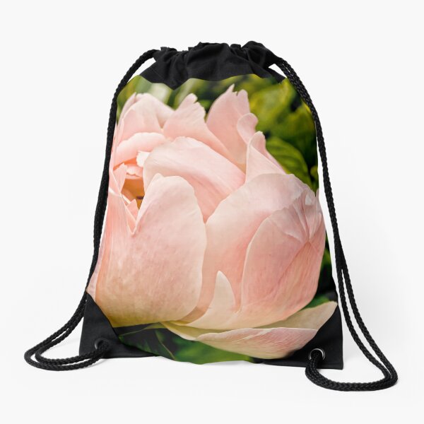 Item preview, Peony - Experimental Farms, Ottawa designed and sold by Tracey  Dryka.