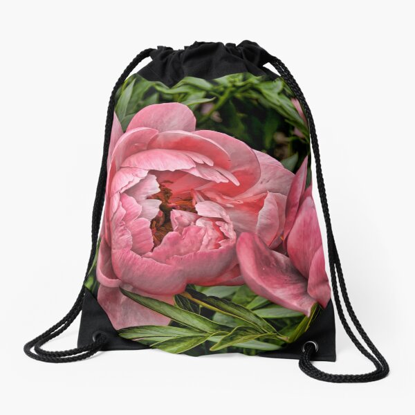 Item preview, Peony - Experimental Garden, Ottawa, Ontario designed and sold by Tracey  Dryka.