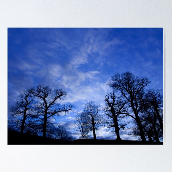 Item preview, Treescape ... in blue designed and sold by dave2k11.