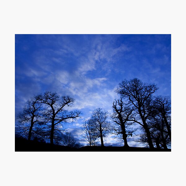 Item preview, Treescape ... in blue designed and sold by dave2k11.