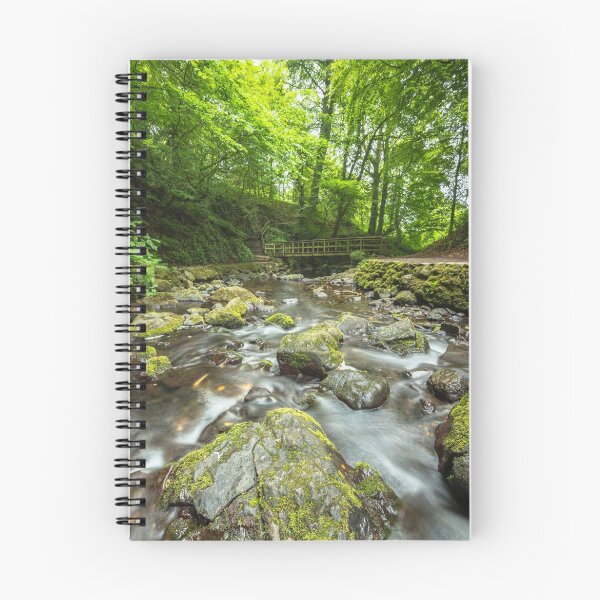 Item preview, Bridge at Glenoe Waterfall designed and sold by Logopad.