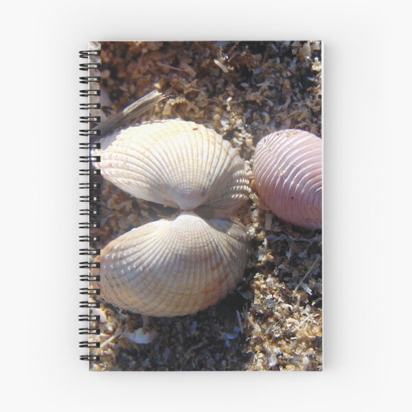 Item preview, shells designed and sold by KathleenDawson.