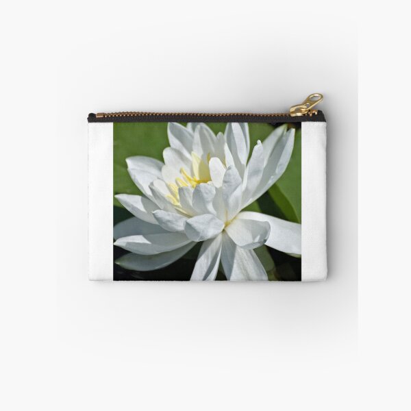 Item preview, Purity! designed and sold by Tracey  Dryka.