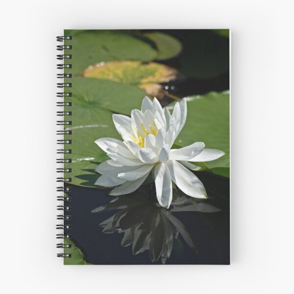 Item preview, Reflection designed and sold by Tracey  Dryka.