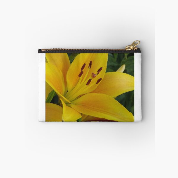 Item preview, Cheops - Asiatic lily, my garden designed and sold by Tracey  Dryka.