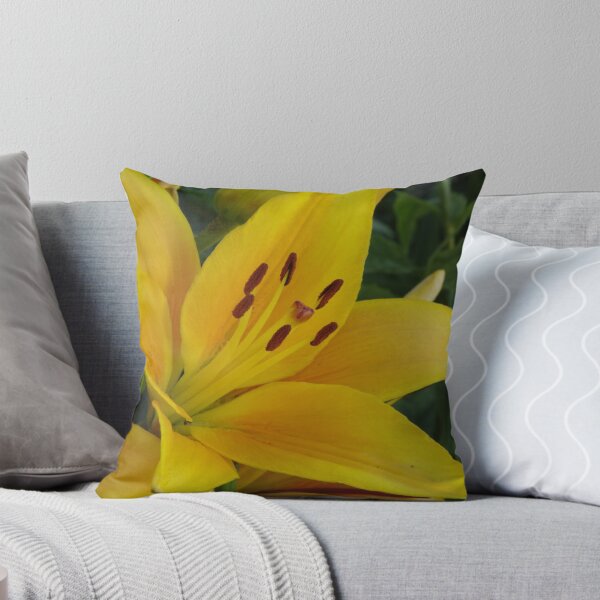 Item preview, Cheops - Asiatic lily, my garden designed and sold by Tracey  Dryka.