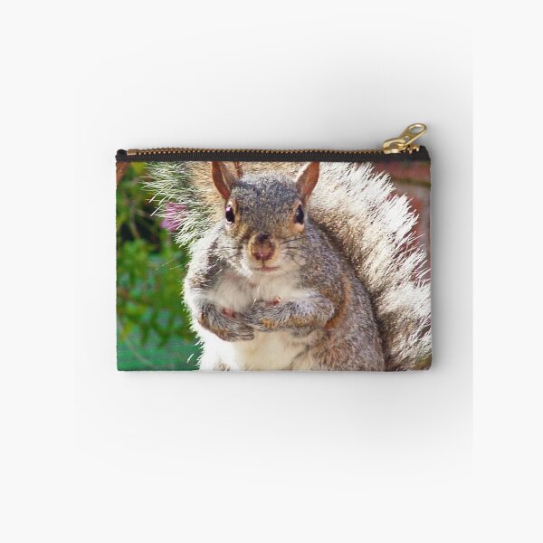 Item preview, Squirrel on my Bird Table designed and sold by AnnDixon.