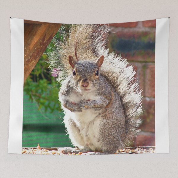 Item preview, Squirrel on my Bird Table designed and sold by AnnDixon.
