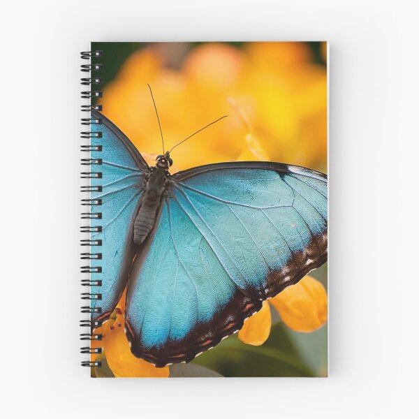 Item preview, Peleides Blue Morpho designed and sold by Tracey  Dryka.
