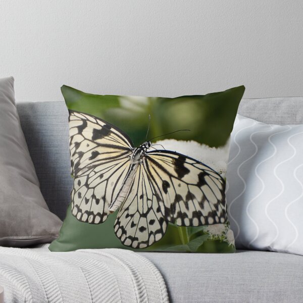 Item preview, Paper Kite Butterfly - Idea leuconoe designed and sold by Tracey  Dryka.