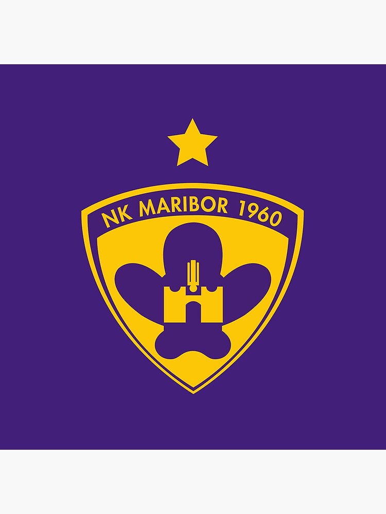 NK Maribor soccer club