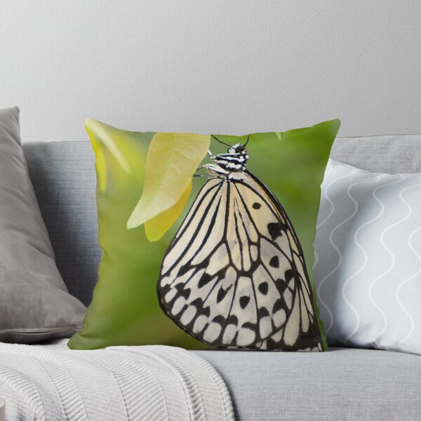 Item preview, Paper Kite Butterfly designed and sold by Tracey  Dryka.