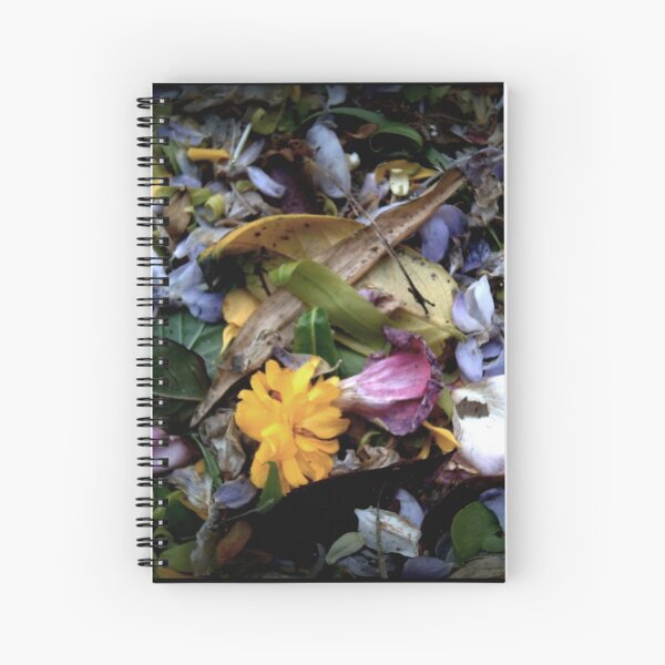Dans le caniveau... Cahier à spirale