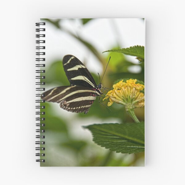 Item preview, Buttterfly - Carleton University designed and sold by Tracey  Dryka.