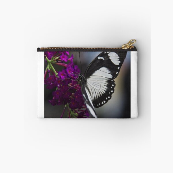 Item preview, Butterfly - Carleton University, Ottawa, Ontario designed and sold by Tracey  Dryka.