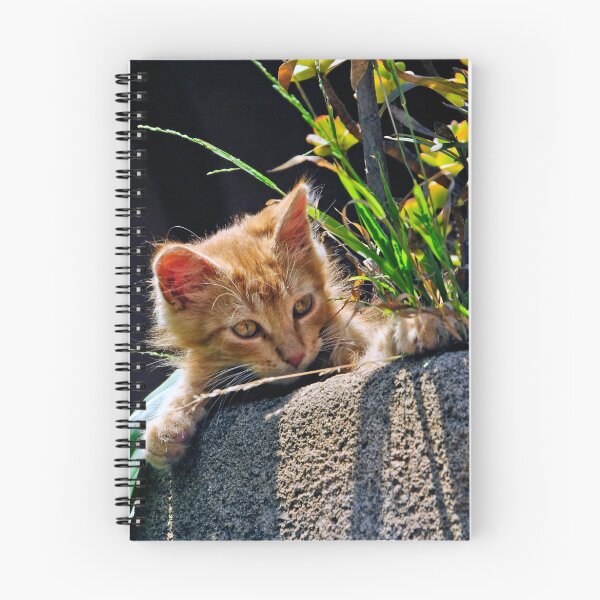 Artikelvorschau, GINGER KITTEN entworfen und verkauft von pixelab.