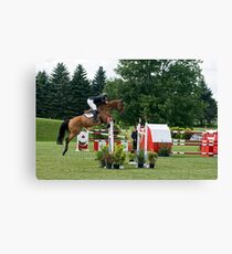 Flight Canvas Print