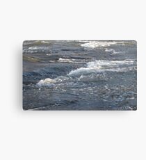 rush of nature Canvas Print