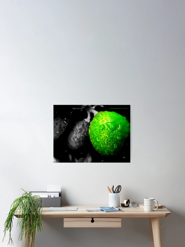 Thumbnail 2 of 3, Poster, Limes designed and sold by Rinaldo Di Battista.